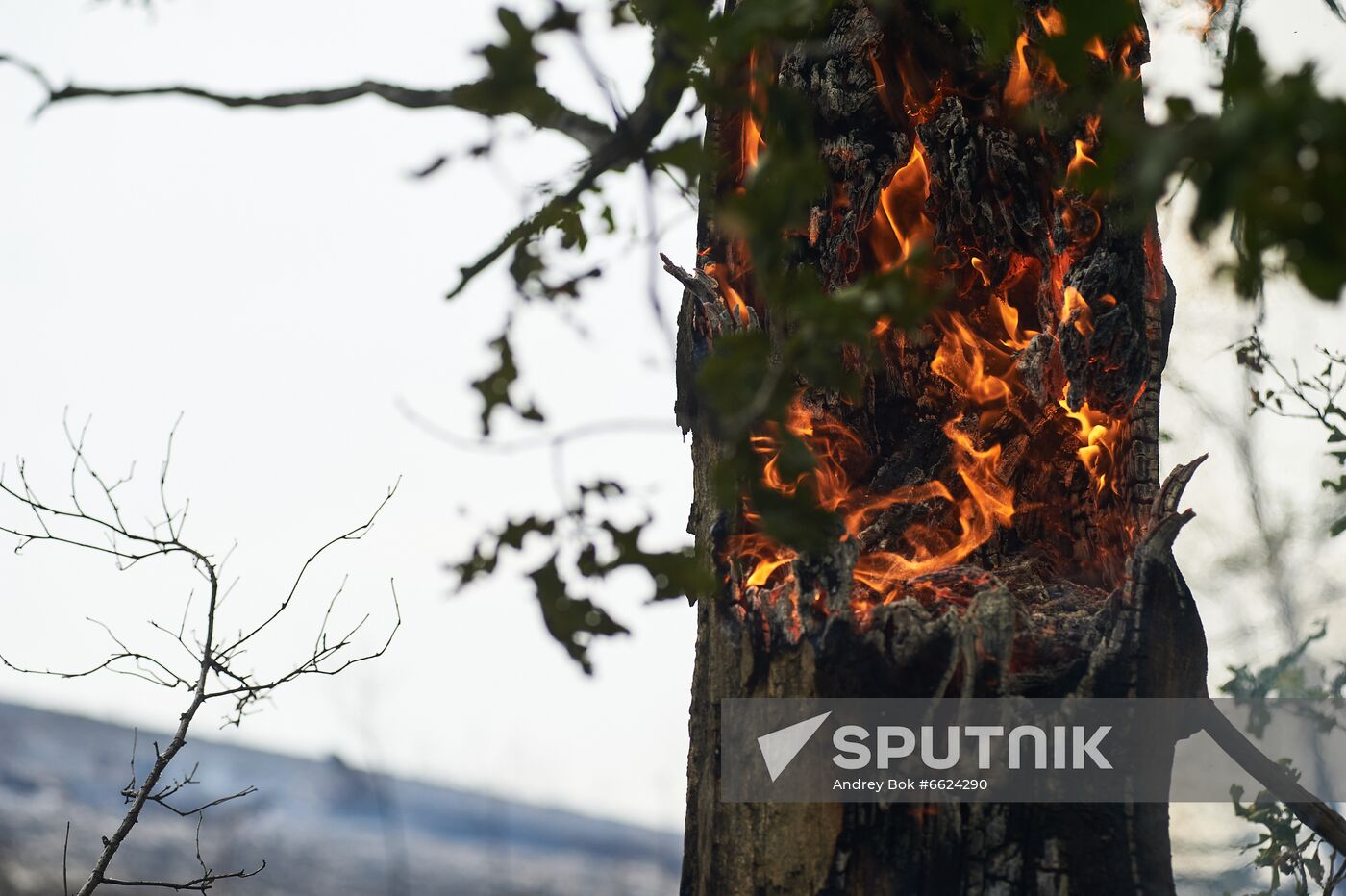 Russia Wildfires