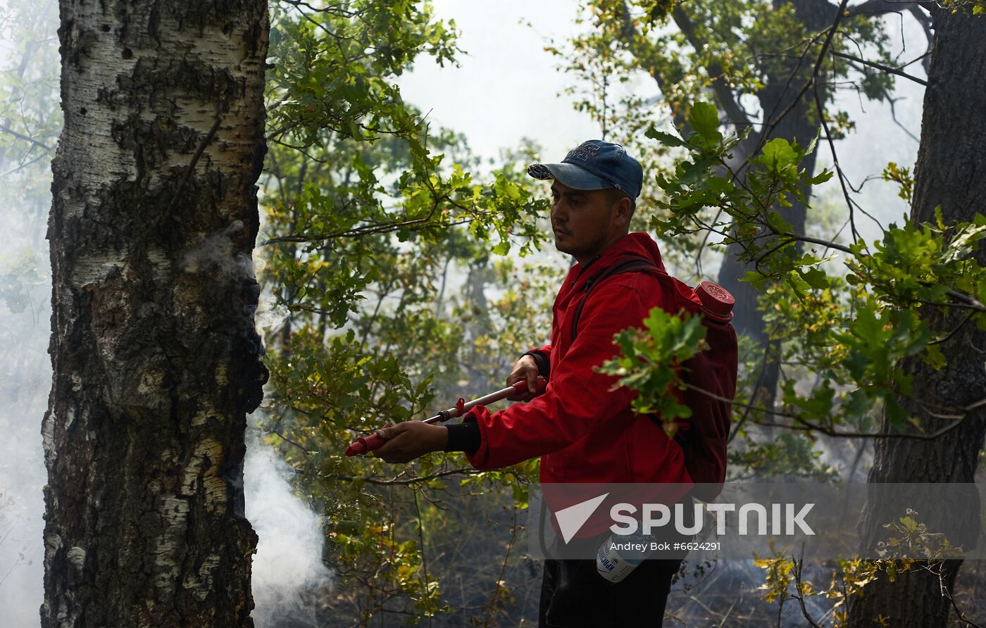 Russia Wildfires