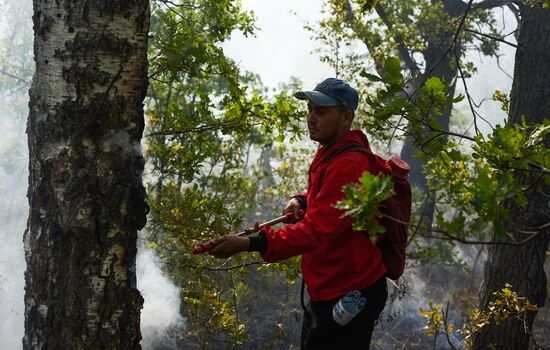 Russia Wildfires