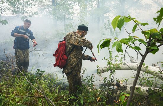 Russia Wildfires