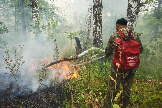 Russia Wildfires