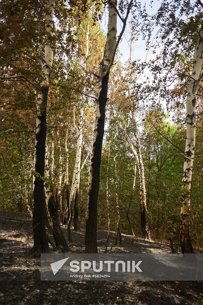 Russia Wildfires