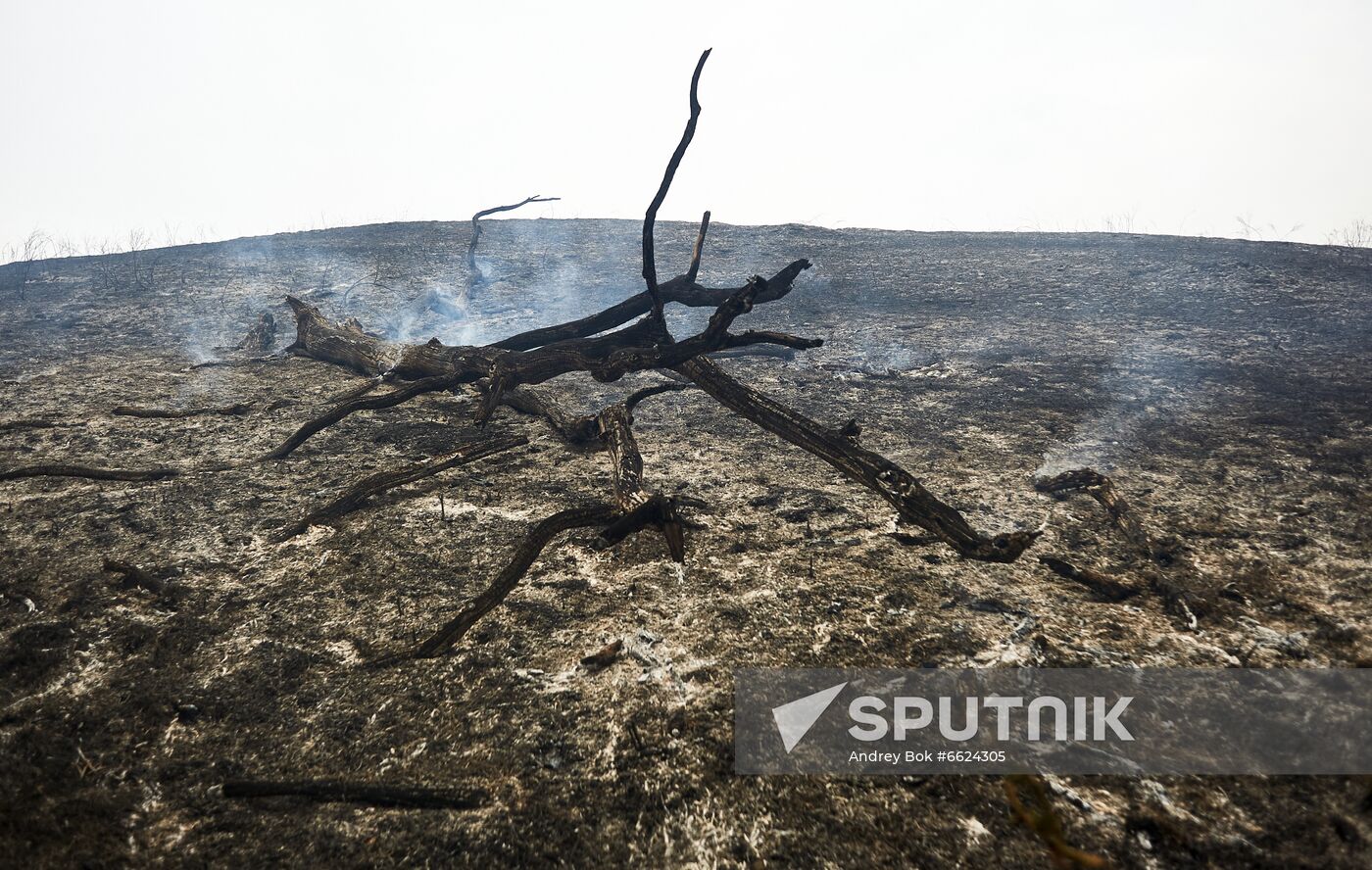 Russia Wildfires
