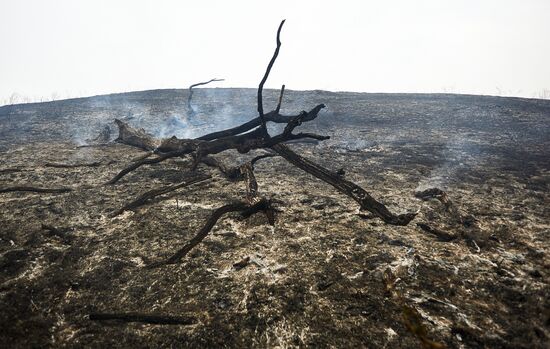 Russia Wildfires