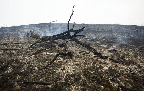 Russia Wildfires