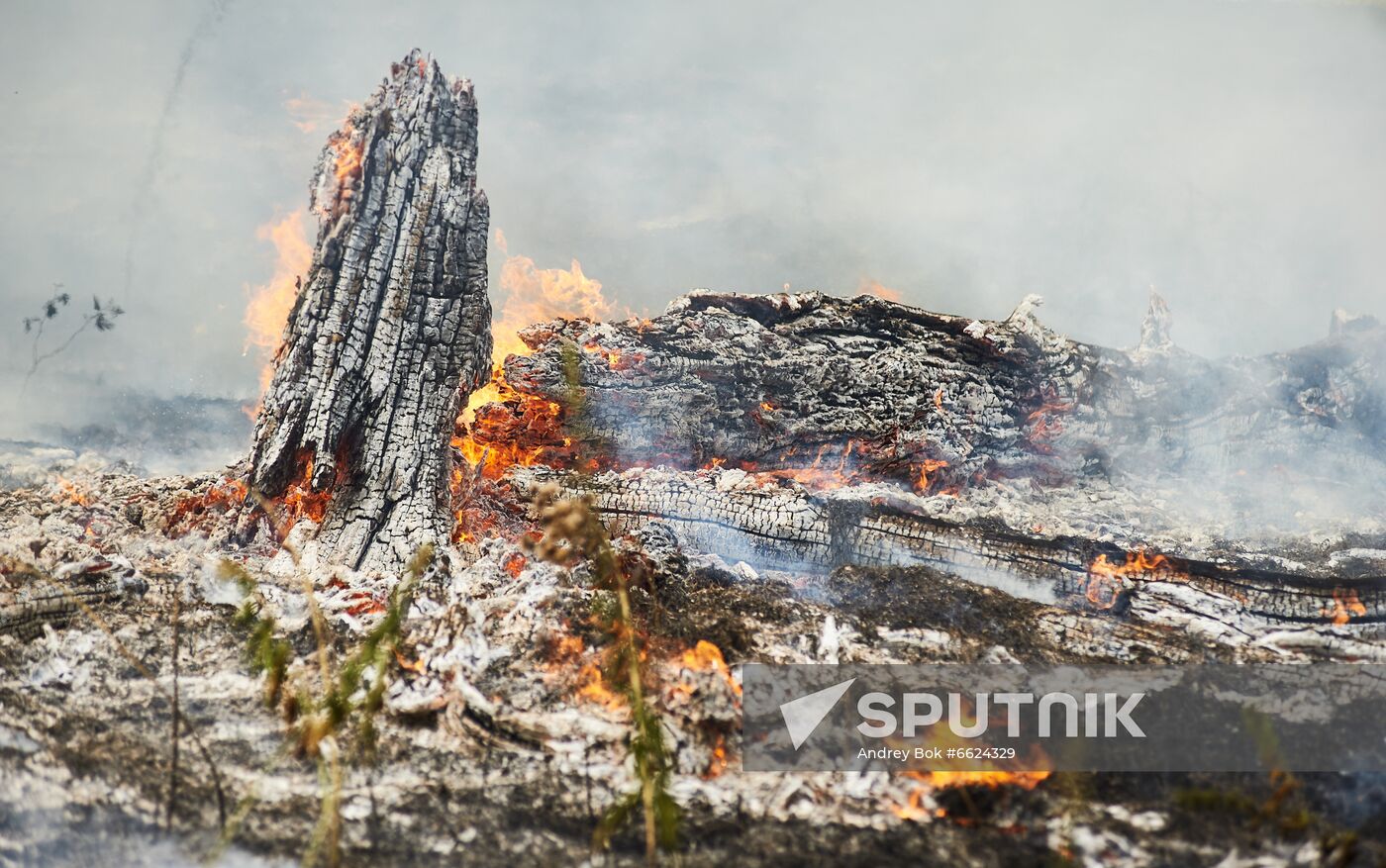 Russia Wildfires