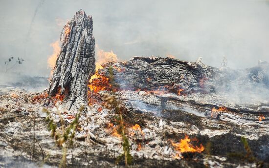 Russia Wildfires
