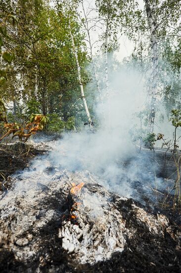 Russia Wildfires