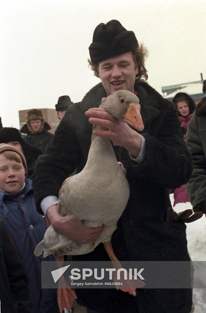 Geese fights