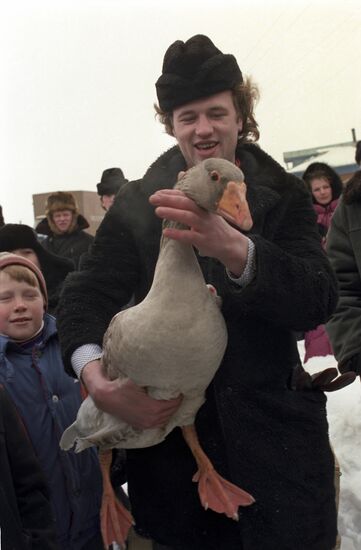 Geese fights