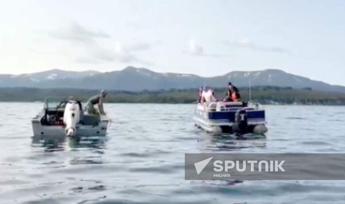 Russia Helicopter Crash