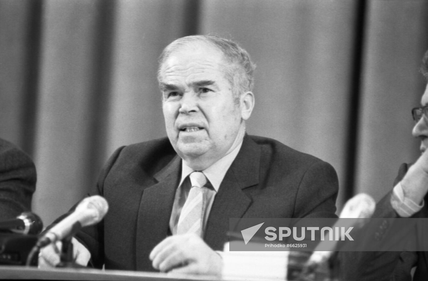Historian Dmitry Volgogonov