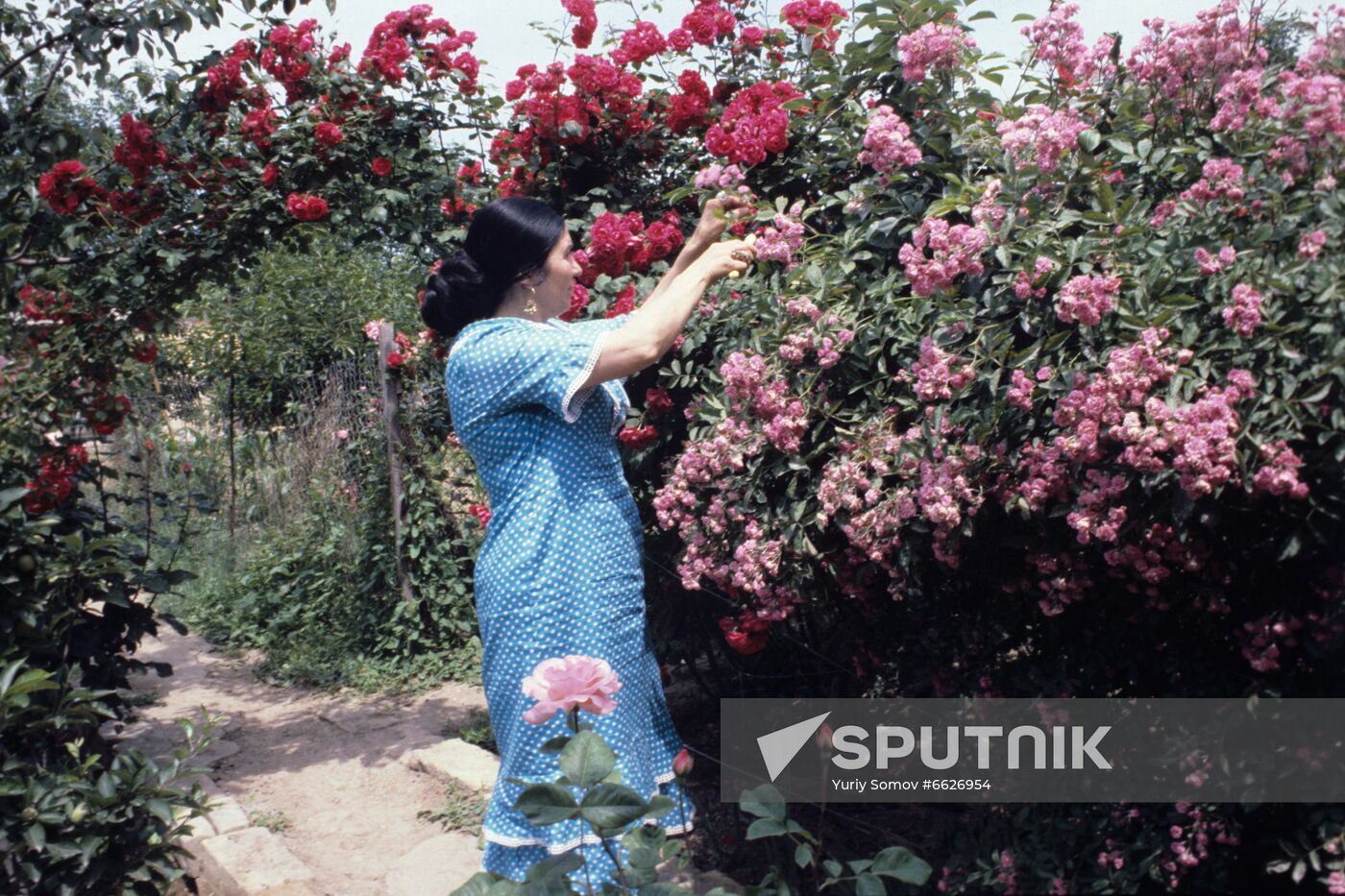 Soviet and Avar poet Fazu Aliyeva