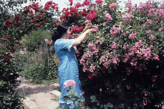 Soviet and Avar poet Fazu Aliyeva