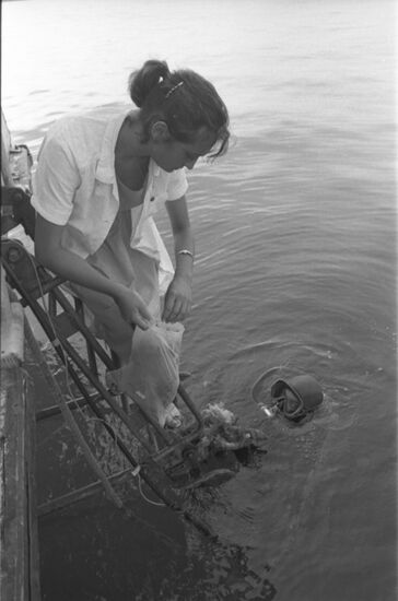 Algae samples in Tsemes Bay