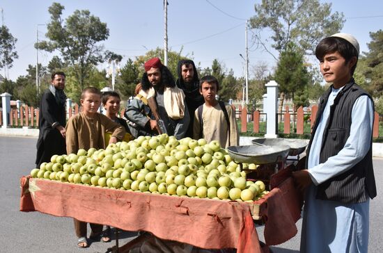 Afghanistan Taliban