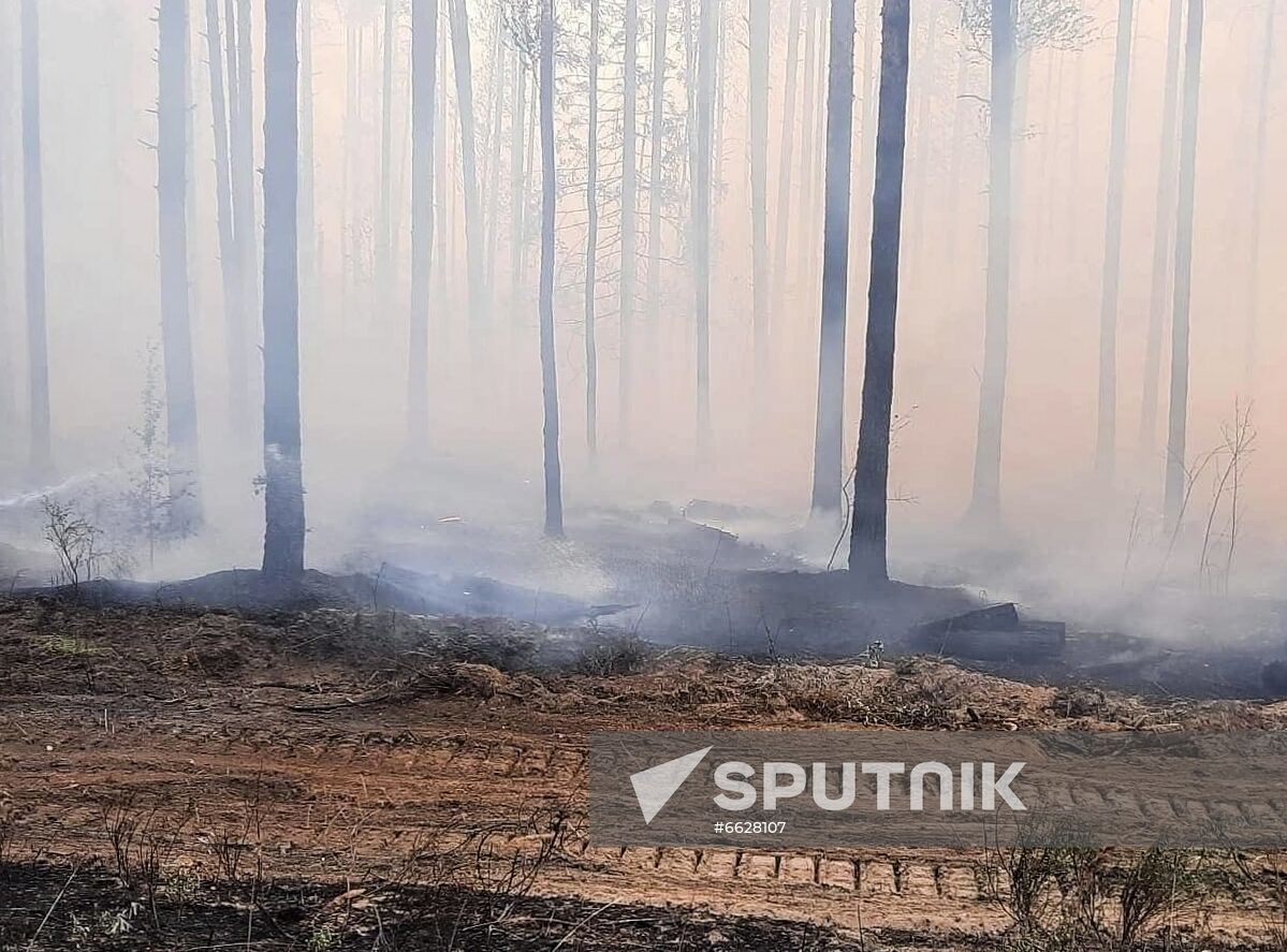 Russia Wildfires