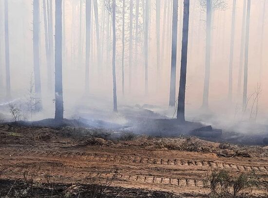 Russia Wildfires
