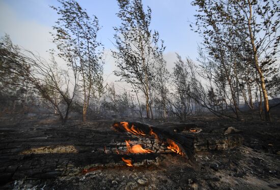 Russia Wildfires