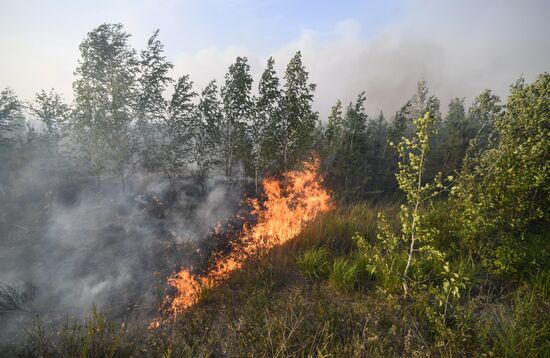 Russia Wildfires