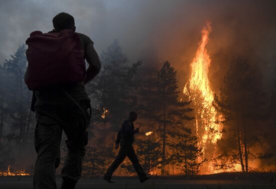 Wild fires in Republic of Mari El