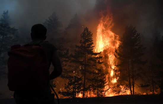 Russia Wildfires