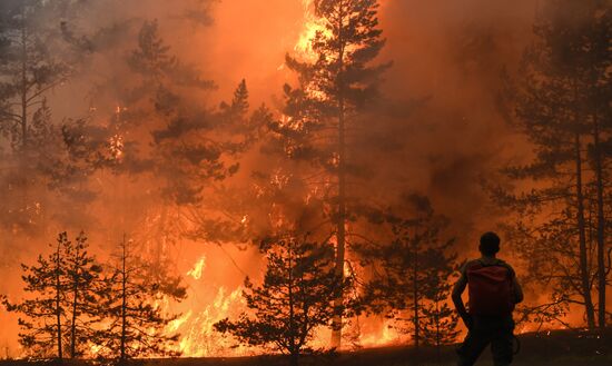 Russia Wildfires