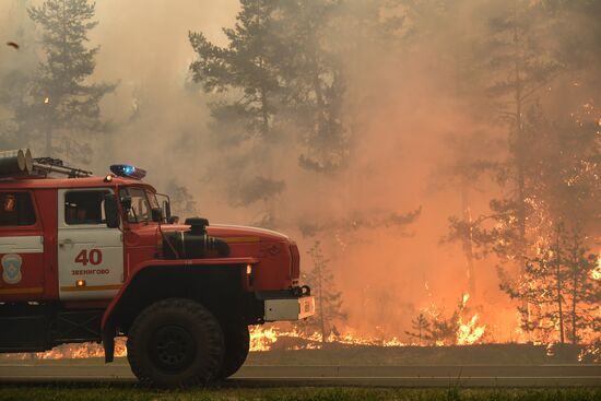 Russia Wildfires
