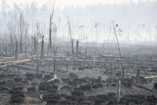 Russia Wildfires