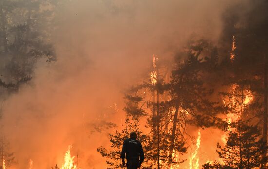 Russia Wildfires