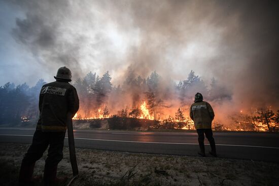 Russia Wildfires
