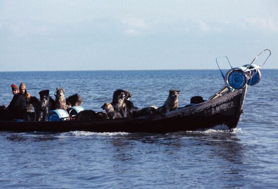 Polar expedition of Sovetskaya Rossiya newspaper
