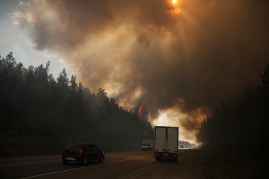 Russia Wildfires