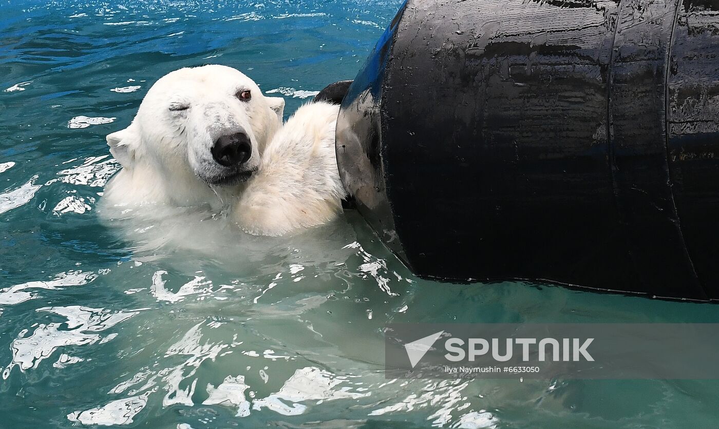 Russia Zoo