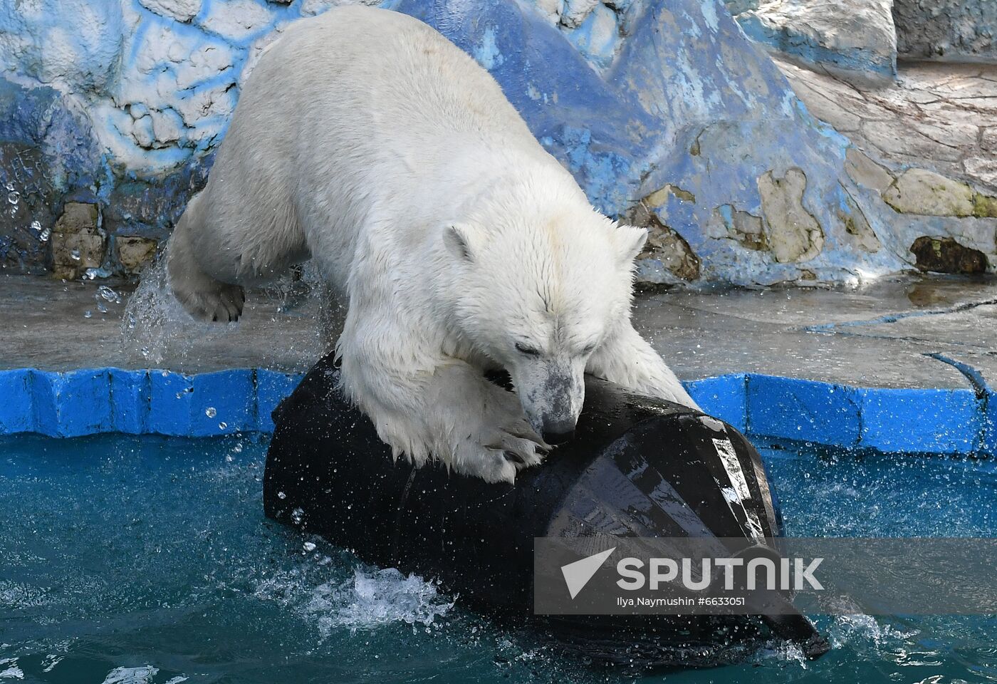 Russia Zoo