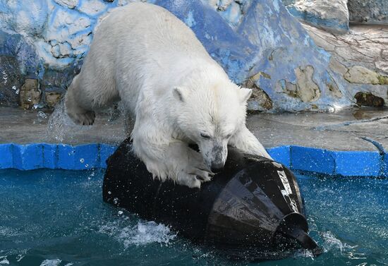 Russia Zoo