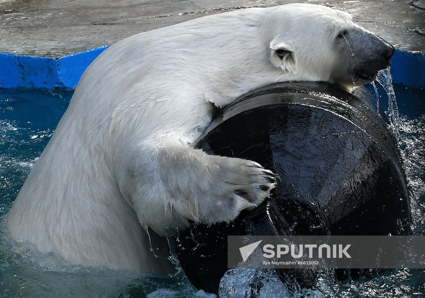 Russia Zoo