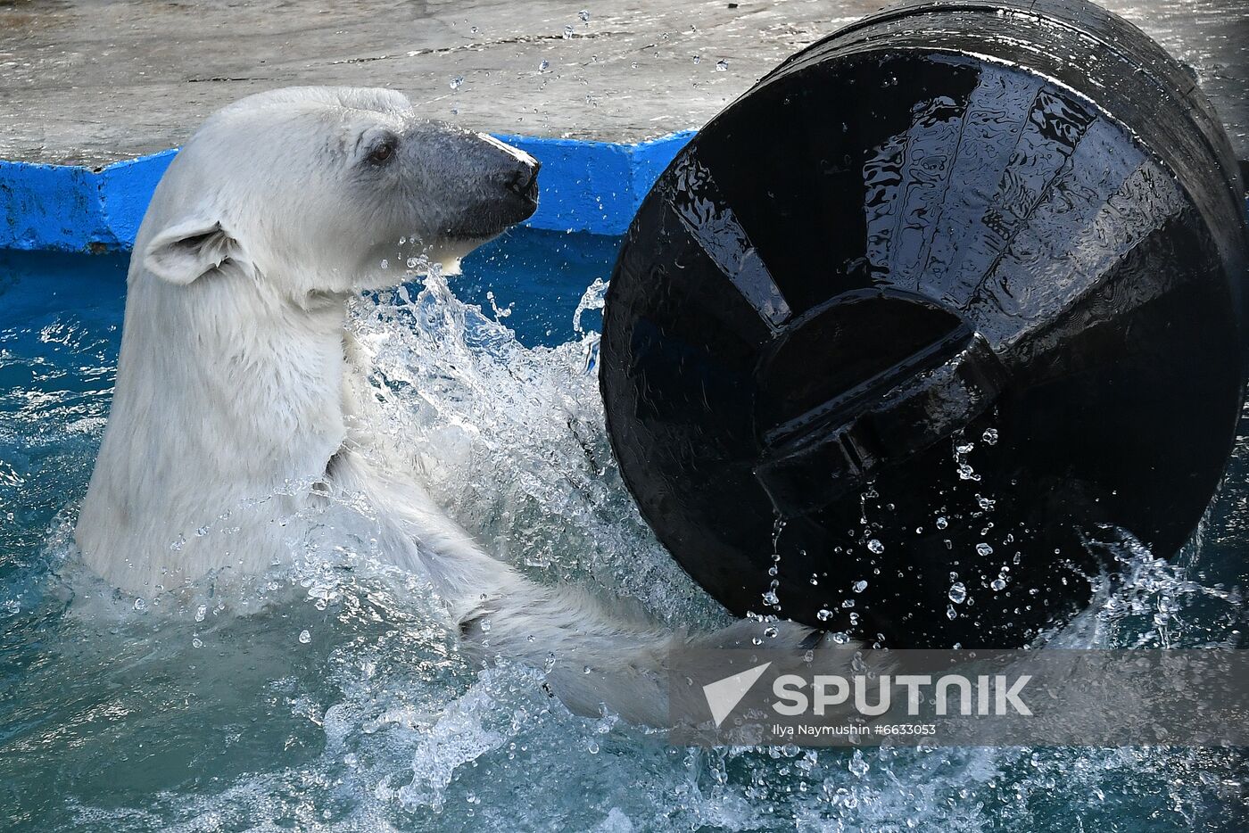 Russia Zoo