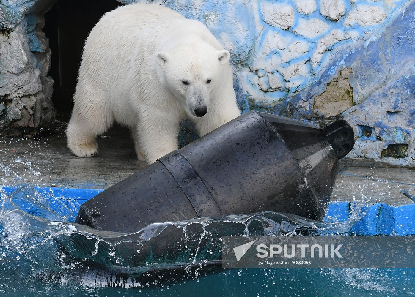 Russia Zoo