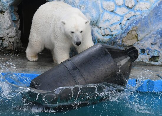 Russia Zoo