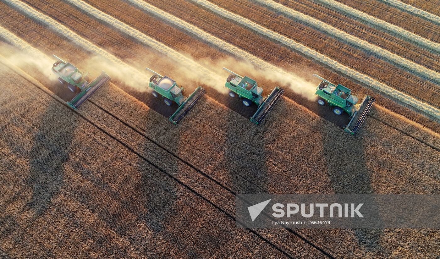 Russia Agriculture Cereals Harvesting