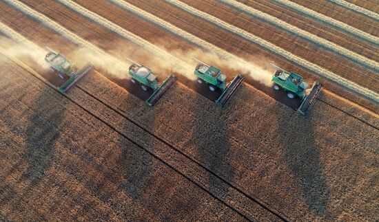 Russia Agriculture Cereals Harvesting