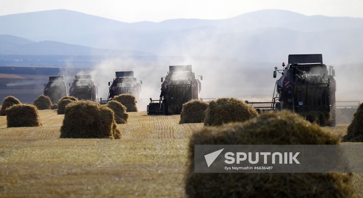 Russia Agriculture Cereals Harvesting