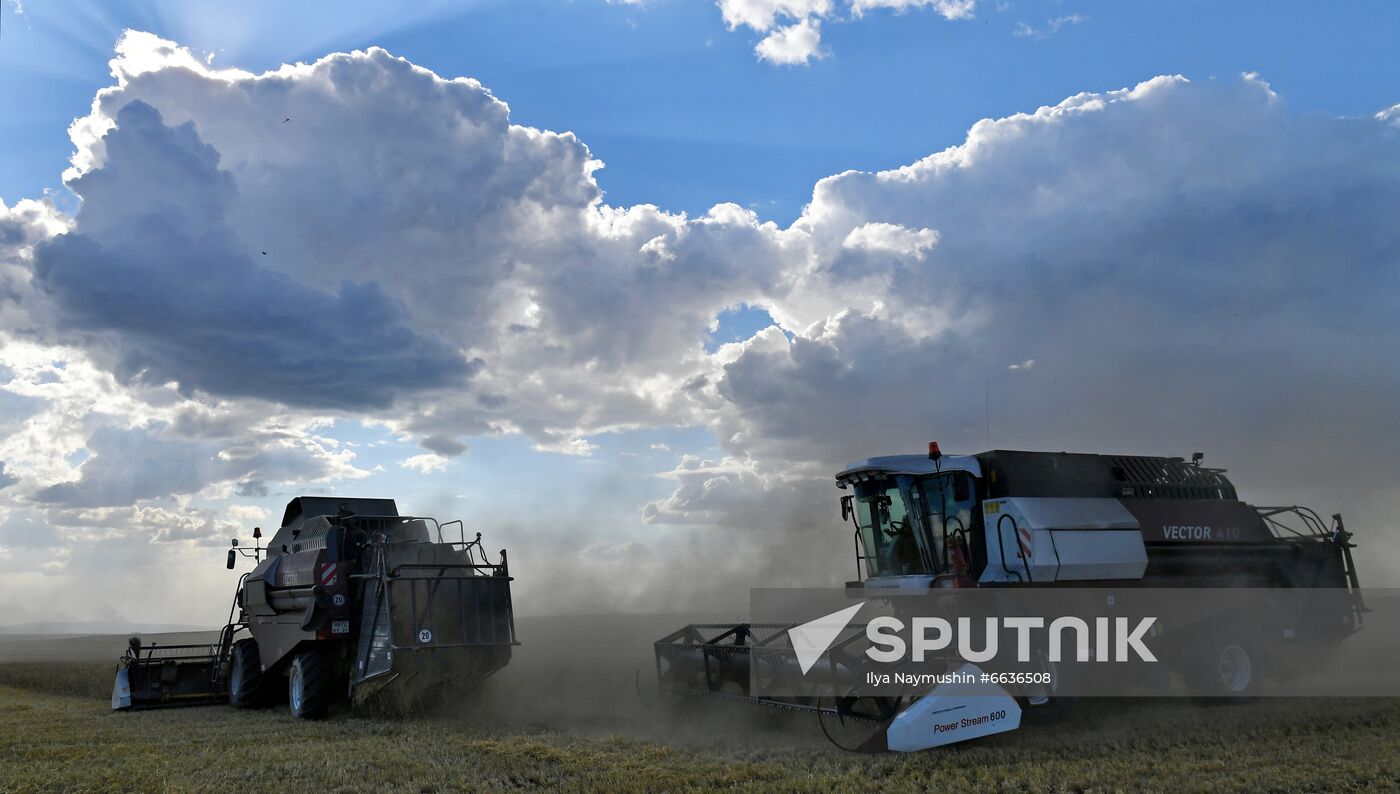 Russia Agriculture Cereals Harvesting