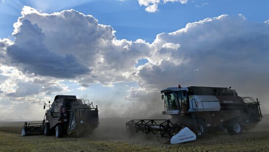 Russia Agriculture Cereals Harvesting