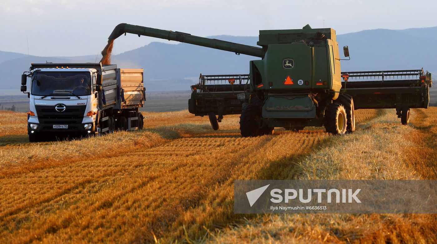 Russia Agriculture Cereals Harvesting