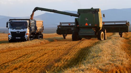 Russia Agriculture Cereals Harvesting