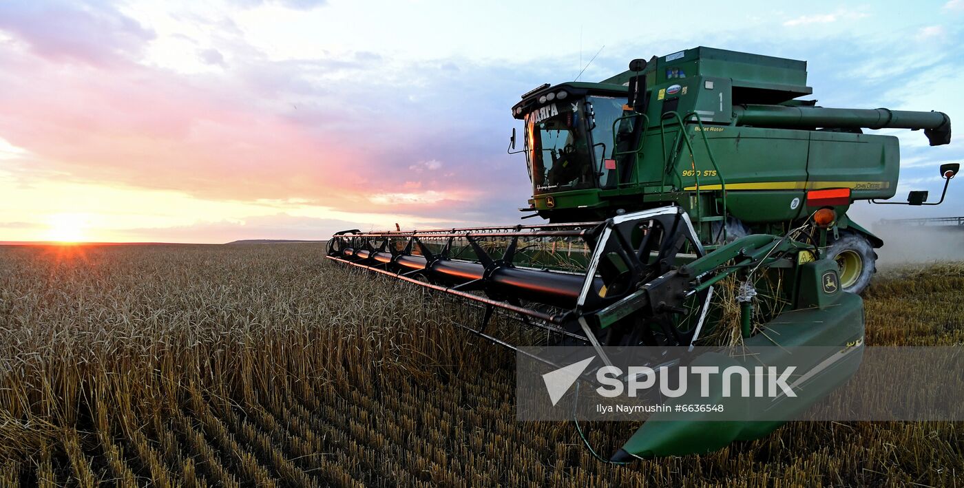 Russia Agriculture Cereals Harvesting