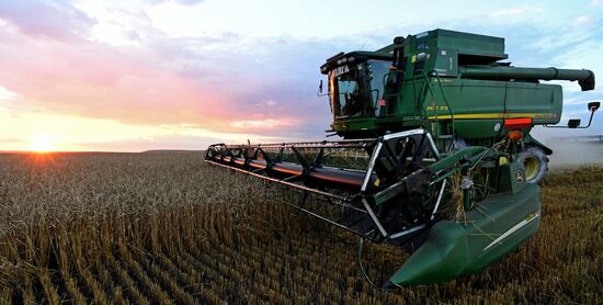Russia Agriculture Cereals Harvesting