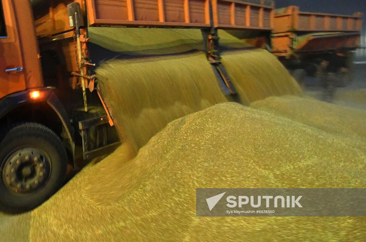 Russia Agriculture Cereals Harvesting